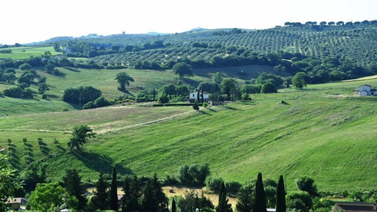 Photo of Others in Magliano in Toscana