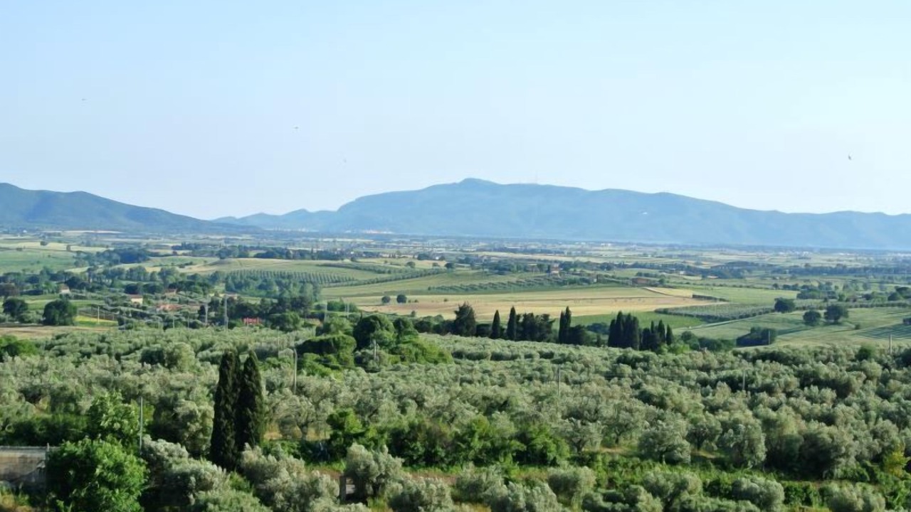 Photo of Others in Magliano in Toscana