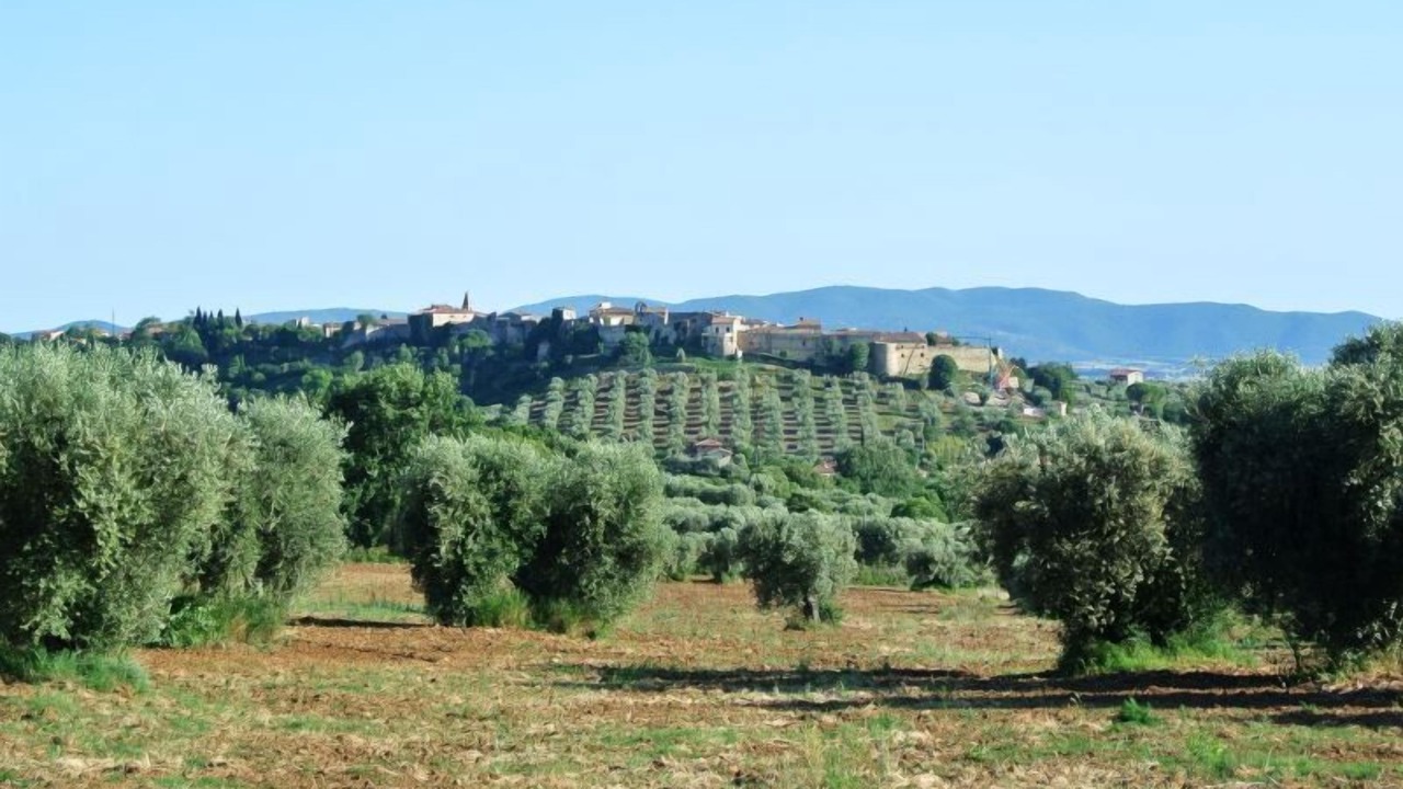 Photo of Outdoor in Magliano in Toscana