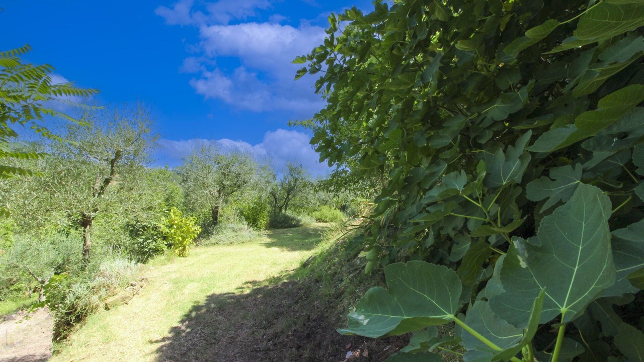 Photo of Outdoor in Monte San Savino
