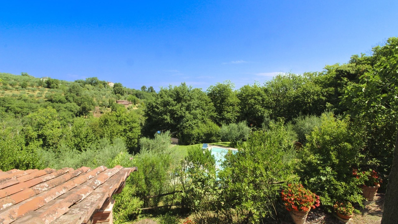 Photo of Outdoor in Monte San Savino