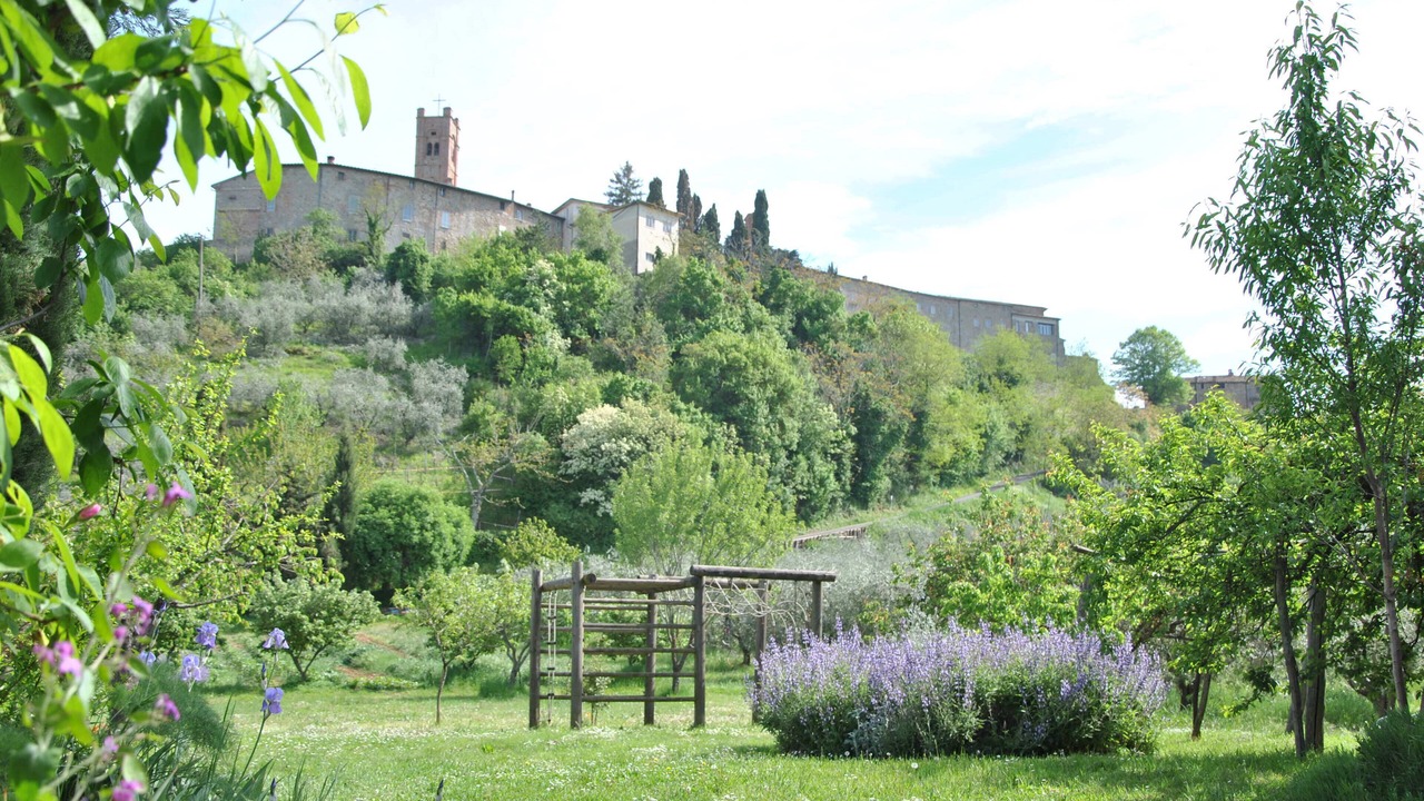 Photo of Outdoor in Radicondoli