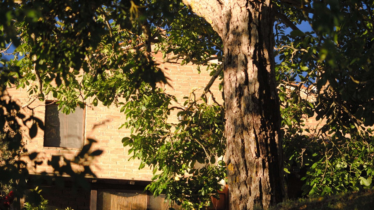 Photo of Outdoor in Radicondoli