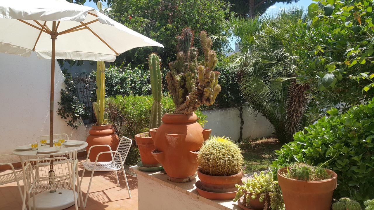 Photo of Outdoor in Cerenova