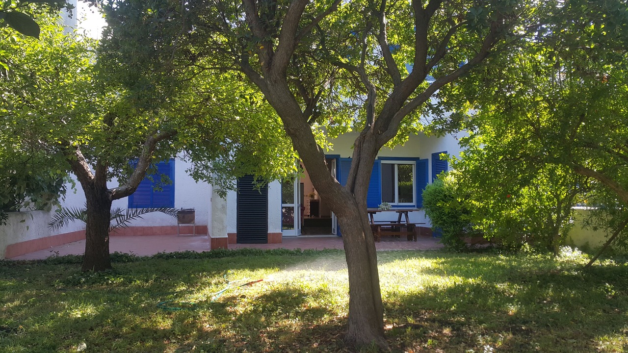 Photo of Outdoor in Cerenova