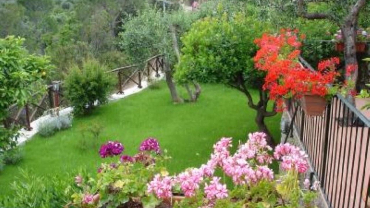 Photo of Outdoor in Porto Santo Stefano