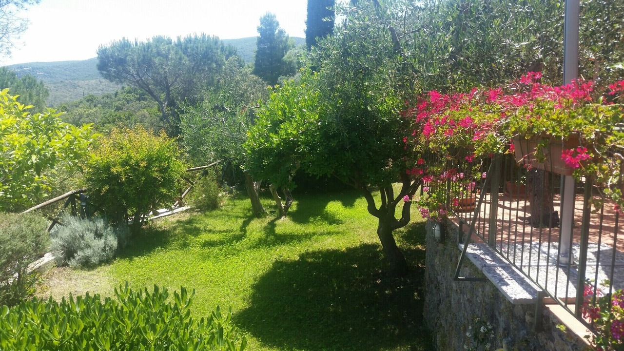 Photo of Outdoor in Porto Santo Stefano