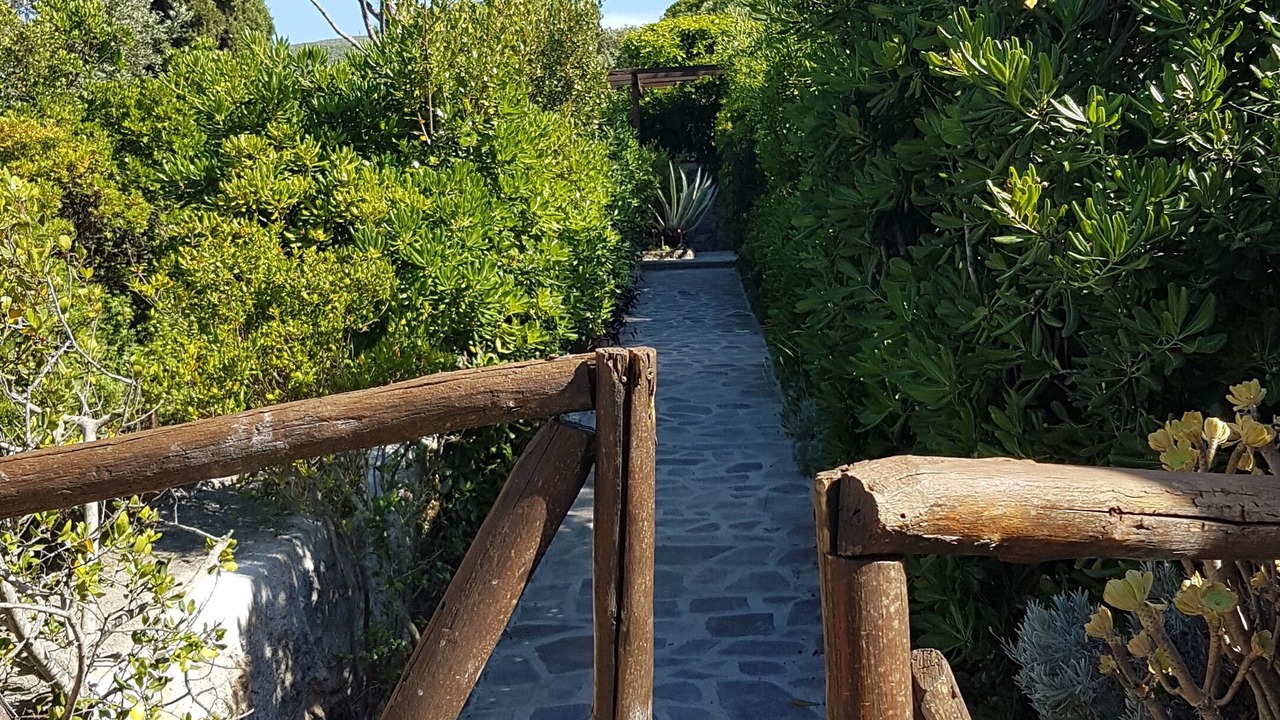 Photo of Outdoor in Porto Santo Stefano