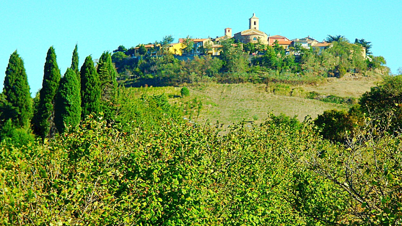 Photo of Others in Montiano