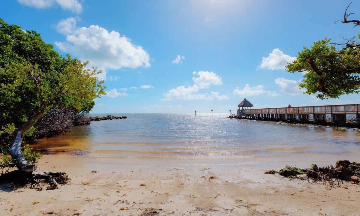 Photo of Others in Tavernier