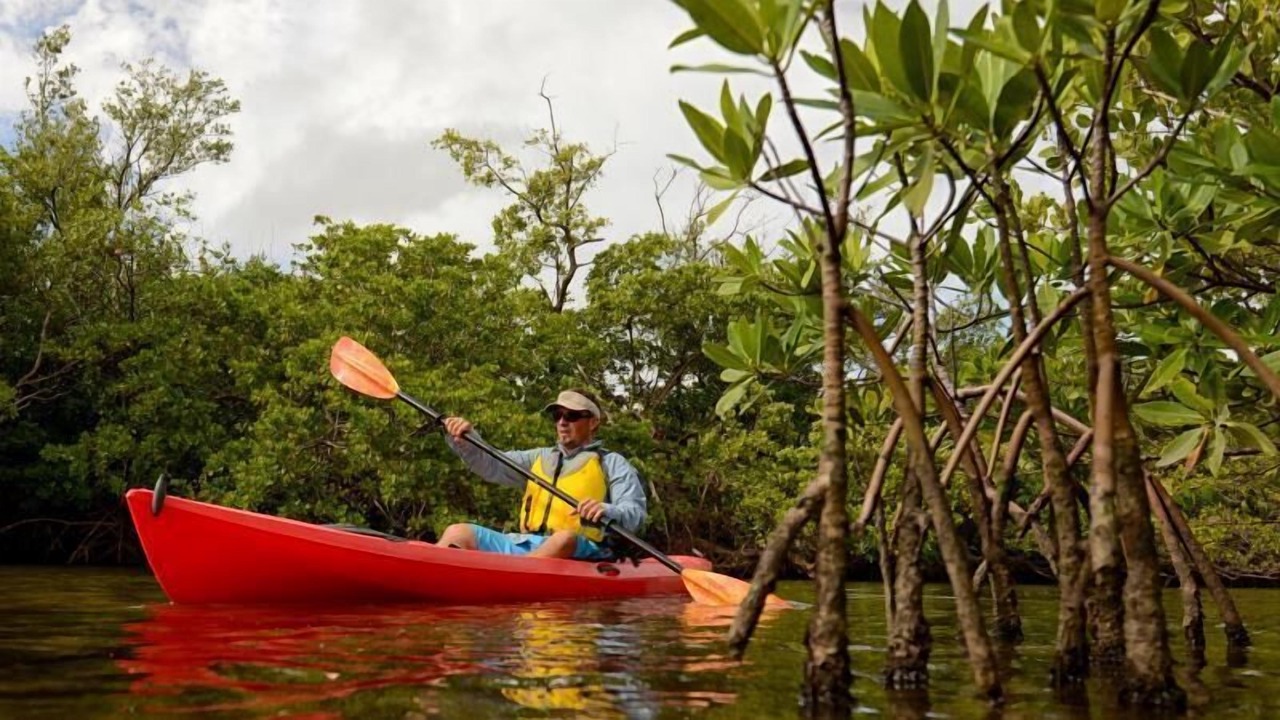 Photo of Others in Tavernier
