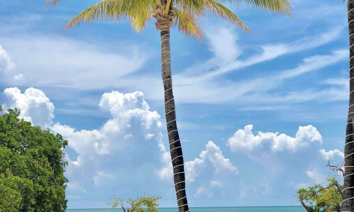 Photo of Others in Tavernier