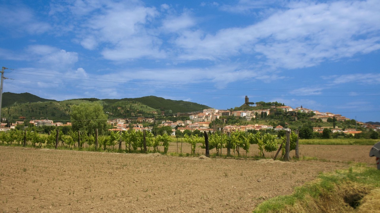 Photo of Others in Podere Viti