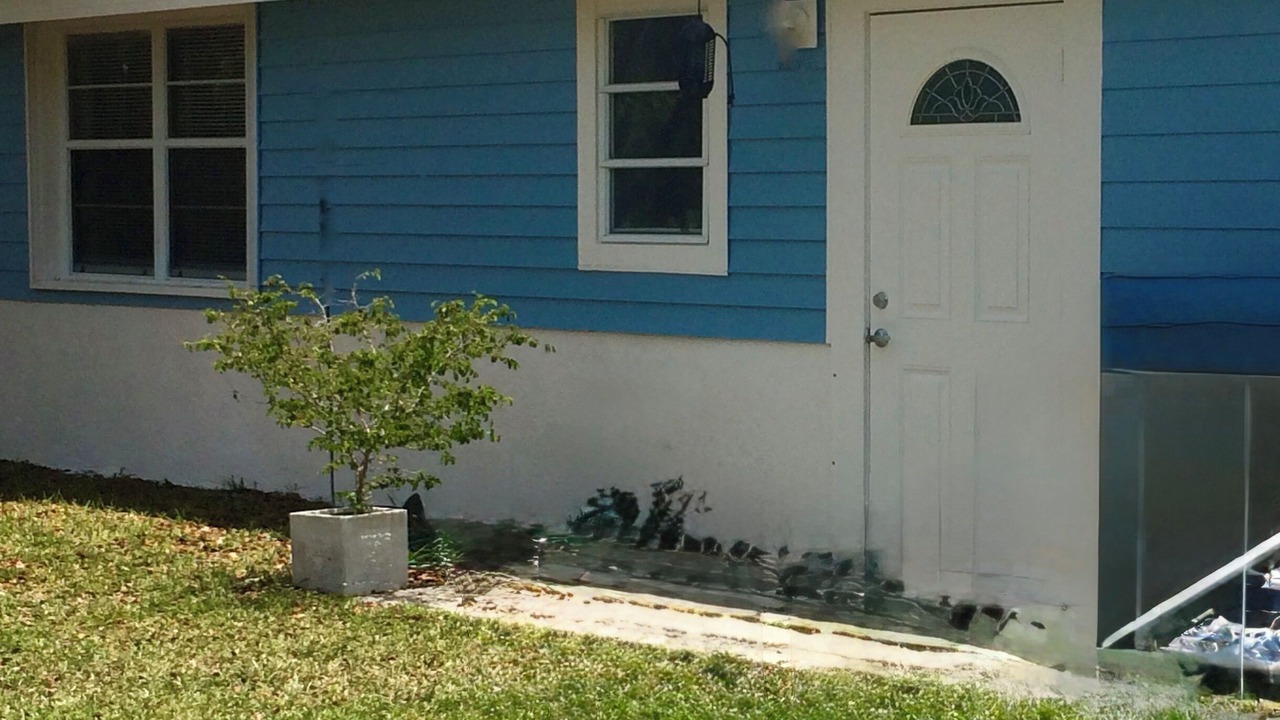 Photo of Outdoor in Cudjoe Key
