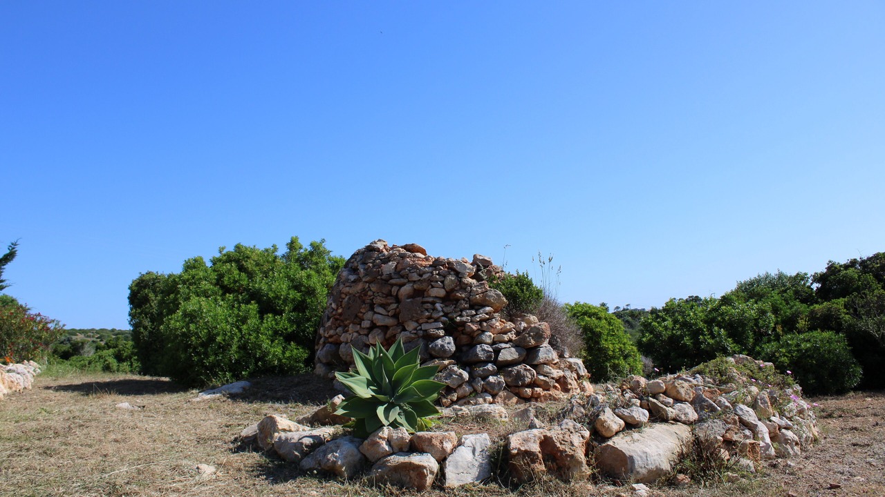 Photo of Outdoor in Figueira