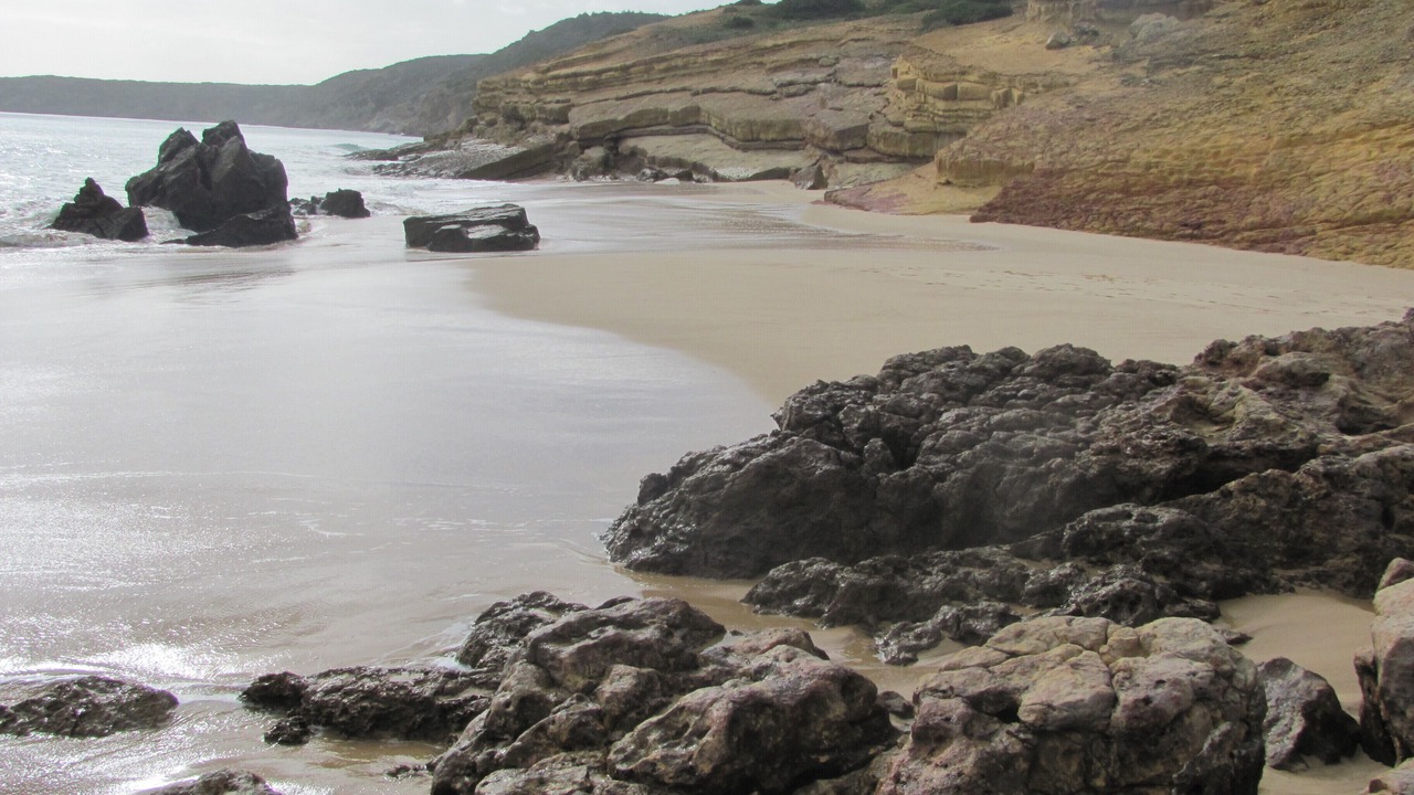 Photo of Others in Figueira