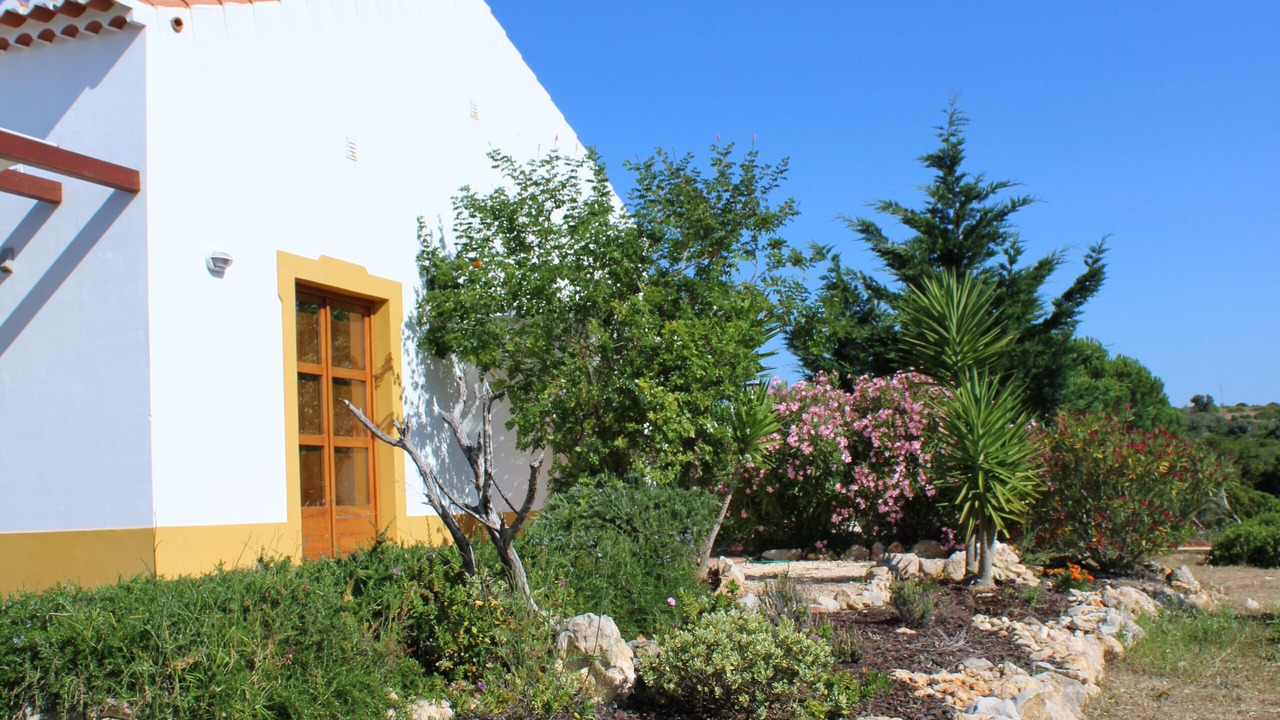 Photo of Outdoor in Figueira