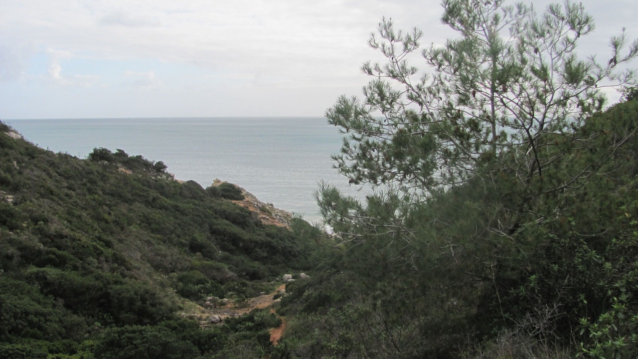 Photo of Others in Figueira