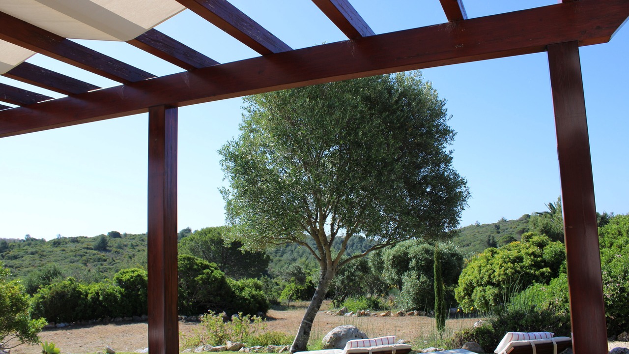 Photo of Outdoor in Figueira