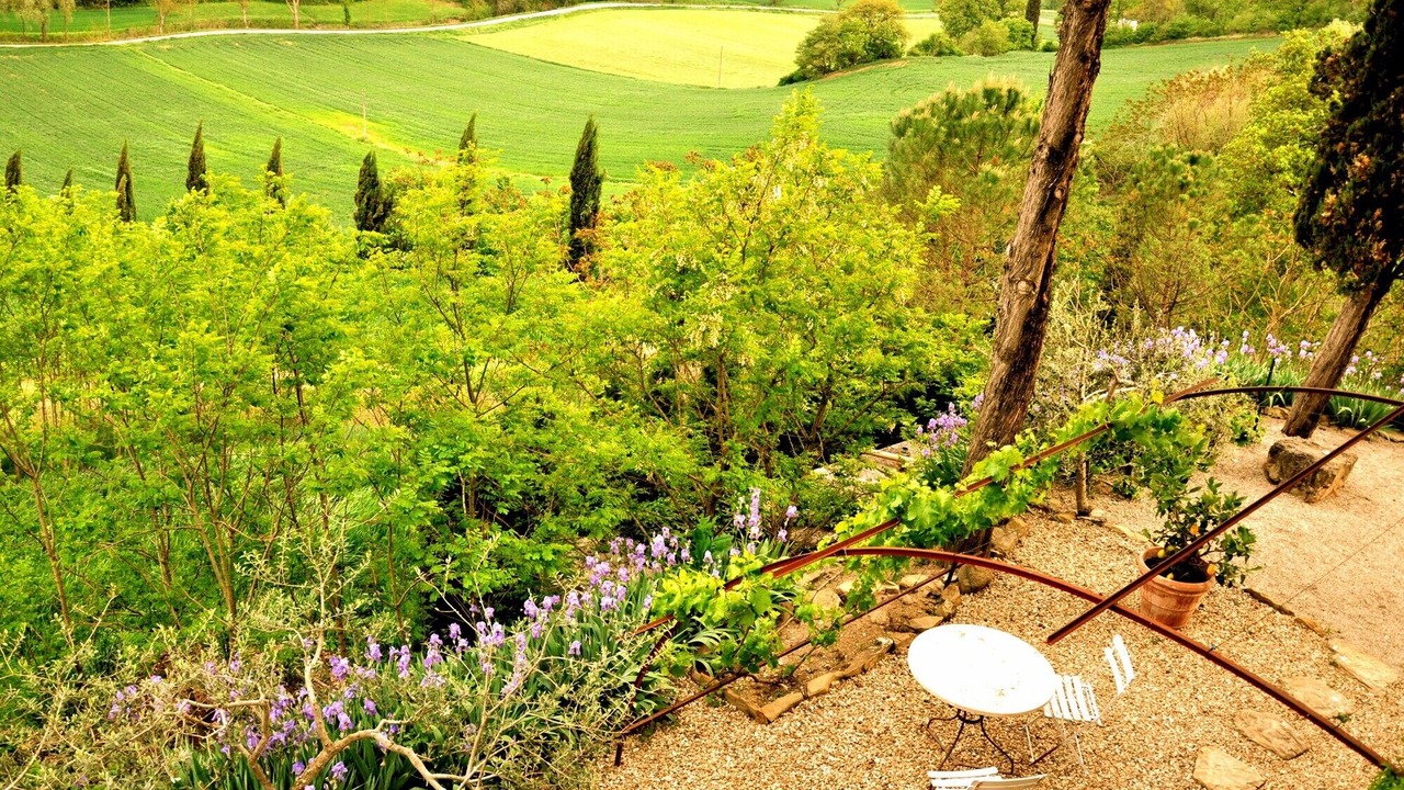 Photo of Others in Monterchi