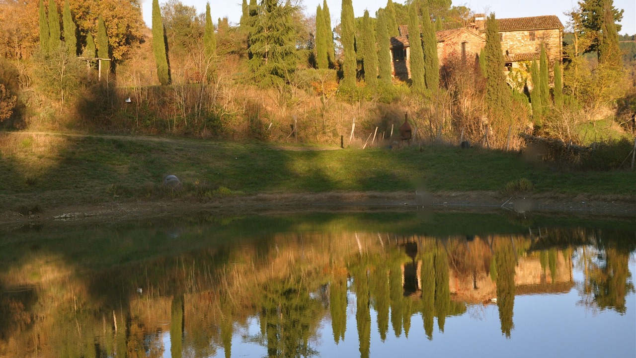Photo of Outdoor in Monterchi