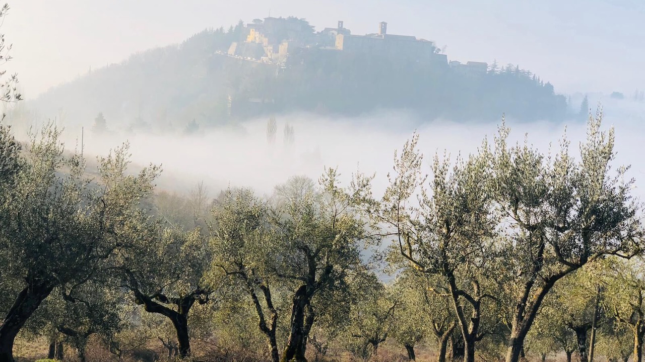 Photo of Others in Montone