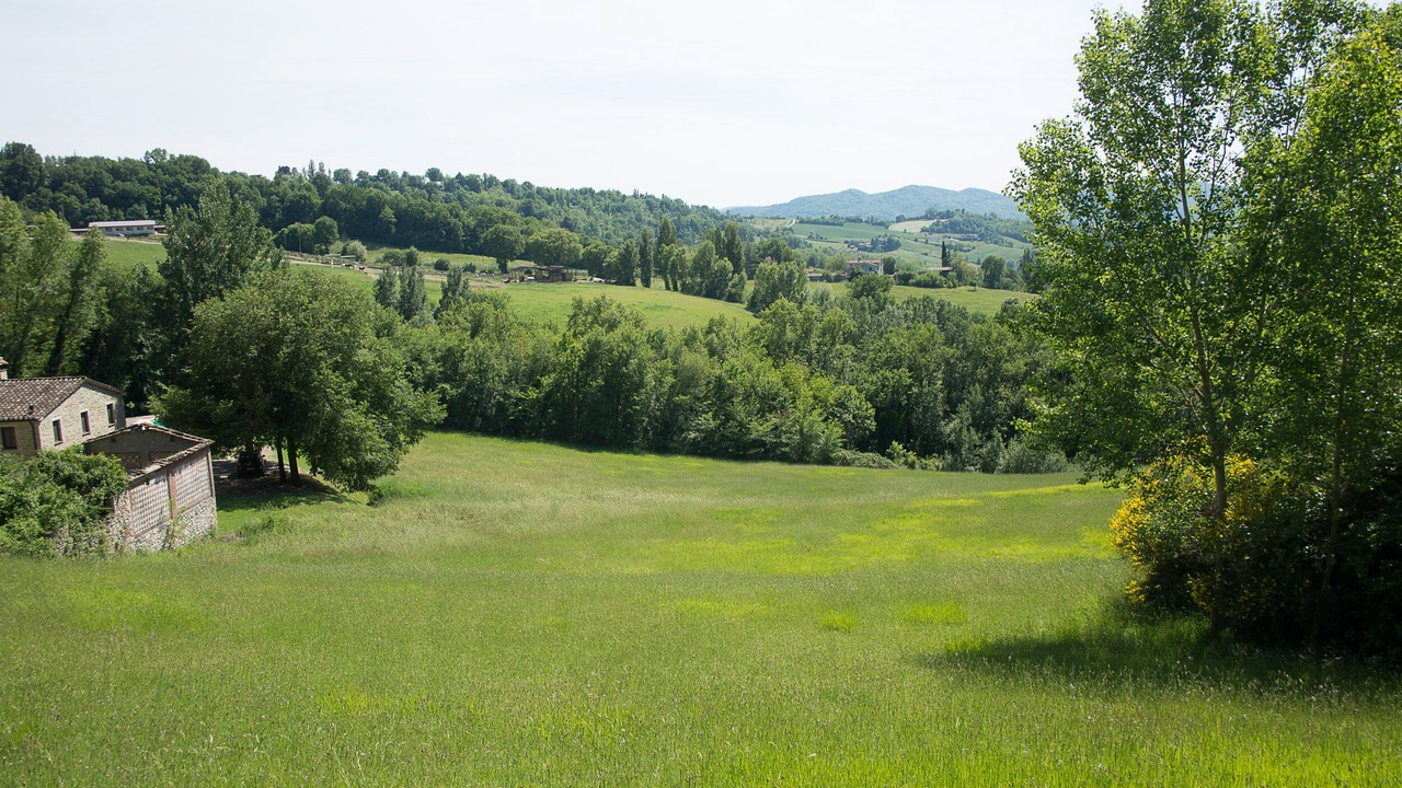 Photo of Others in Montone