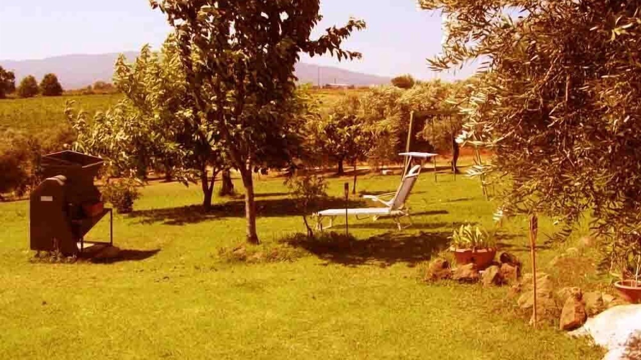 Photo of Outdoor in Cori