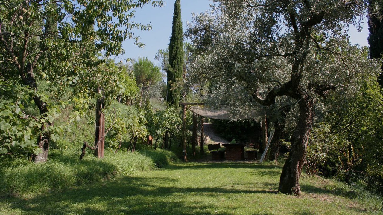 Photo of Outdoor in San Pietro a Cegliolo