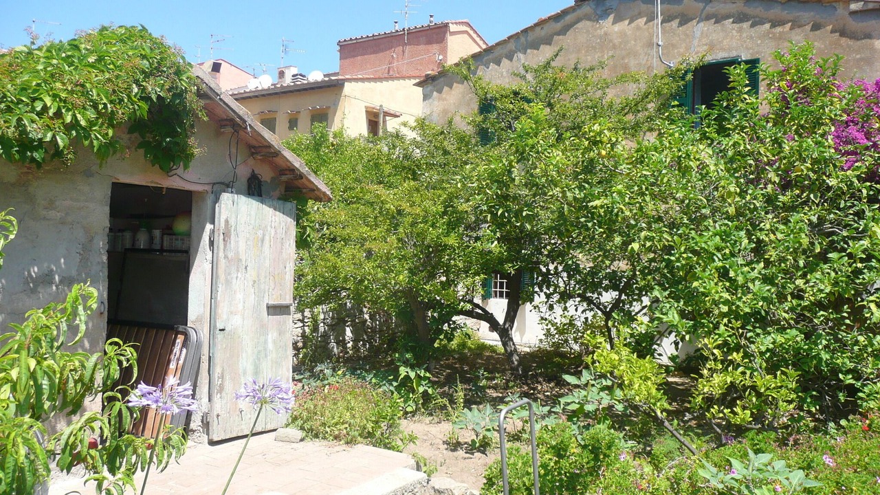 Photo of Outdoor in Giglio Porto