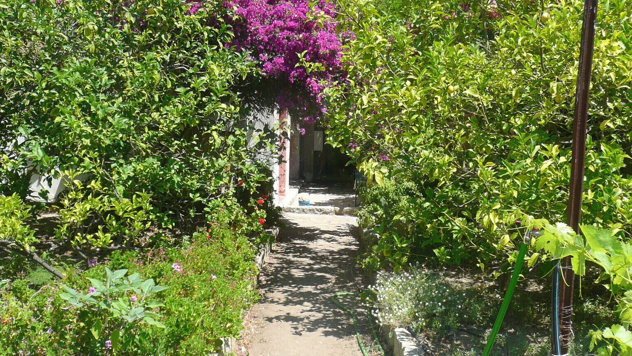 Photo of Outdoor in Giglio Porto