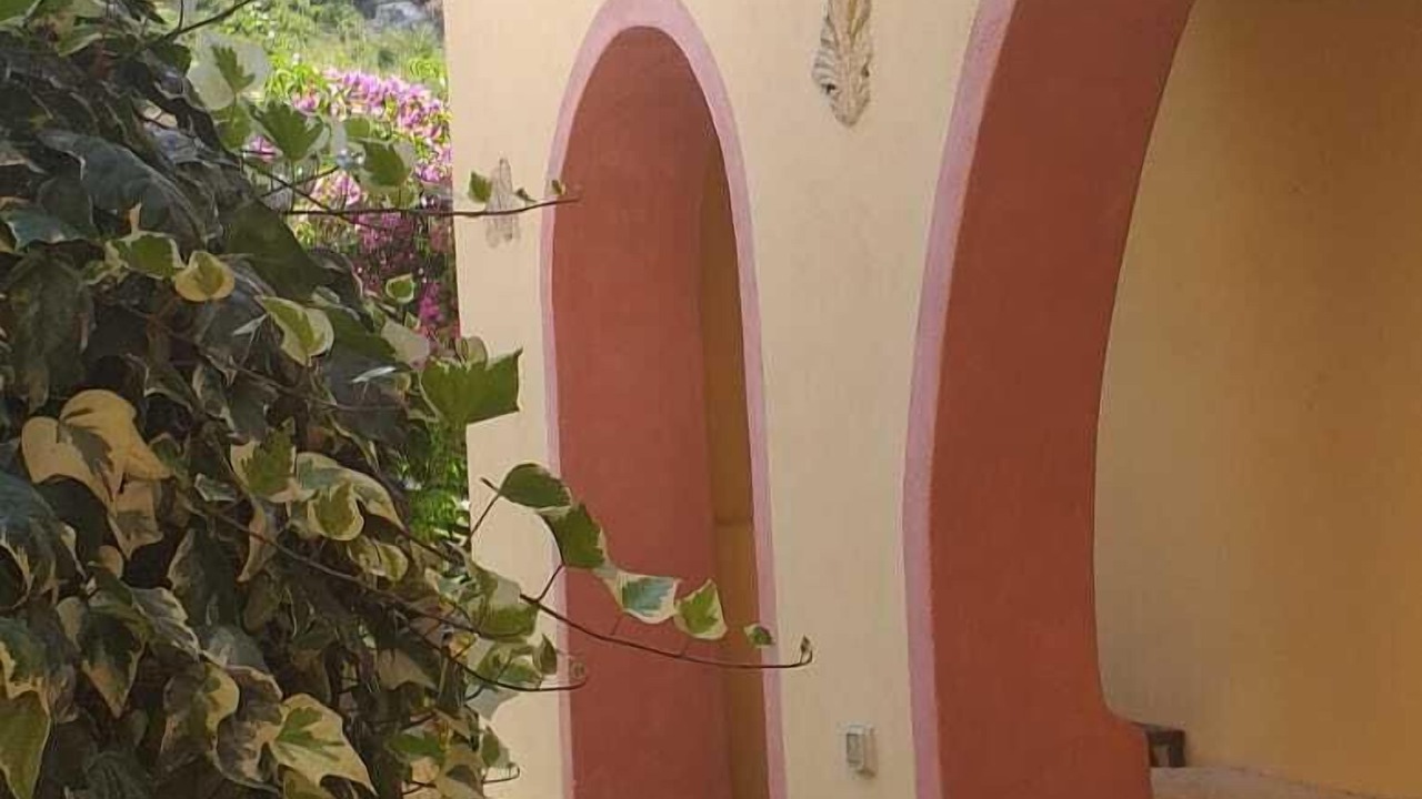 Photo of Outdoor in Giglio Porto