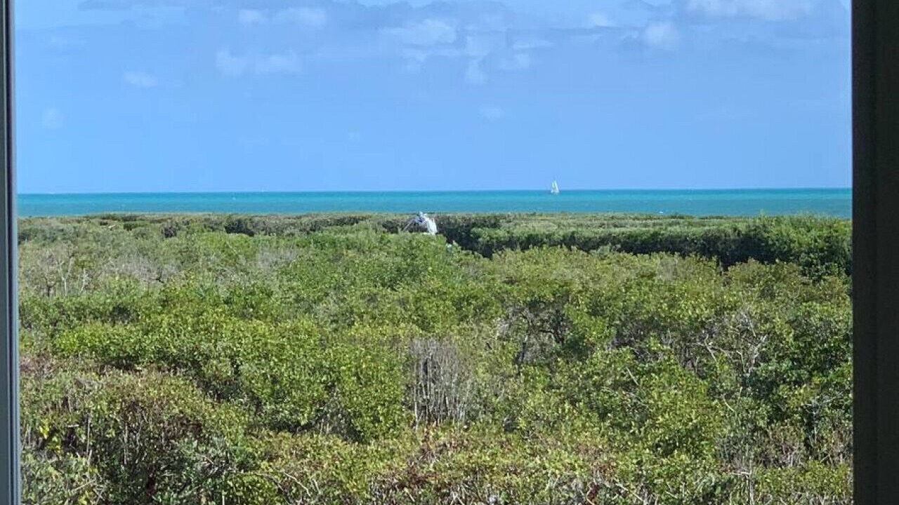 Photo of Others in Tavernier