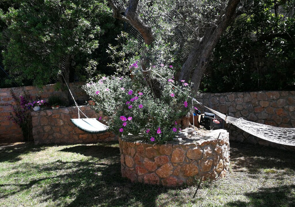 Photo of Others in Cala Piccola