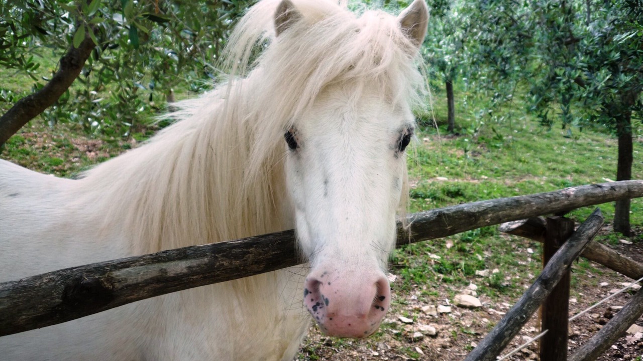 Photo of Outdoor in Spoleto