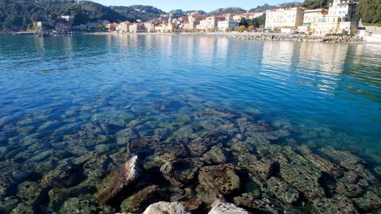 Photo of Others in Pugliola