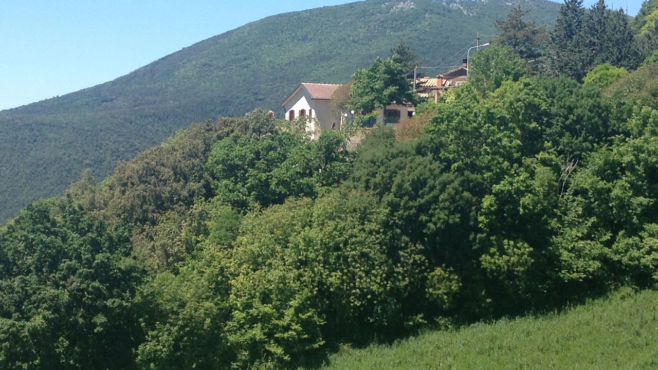Photo of Others in Montasola