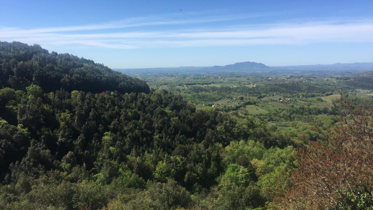 Photo of Others in Montasola