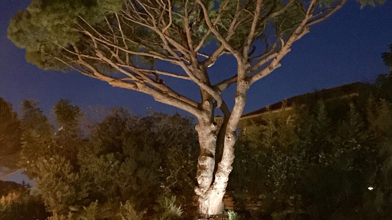 Photo of Outdoor in Vale do Lobo