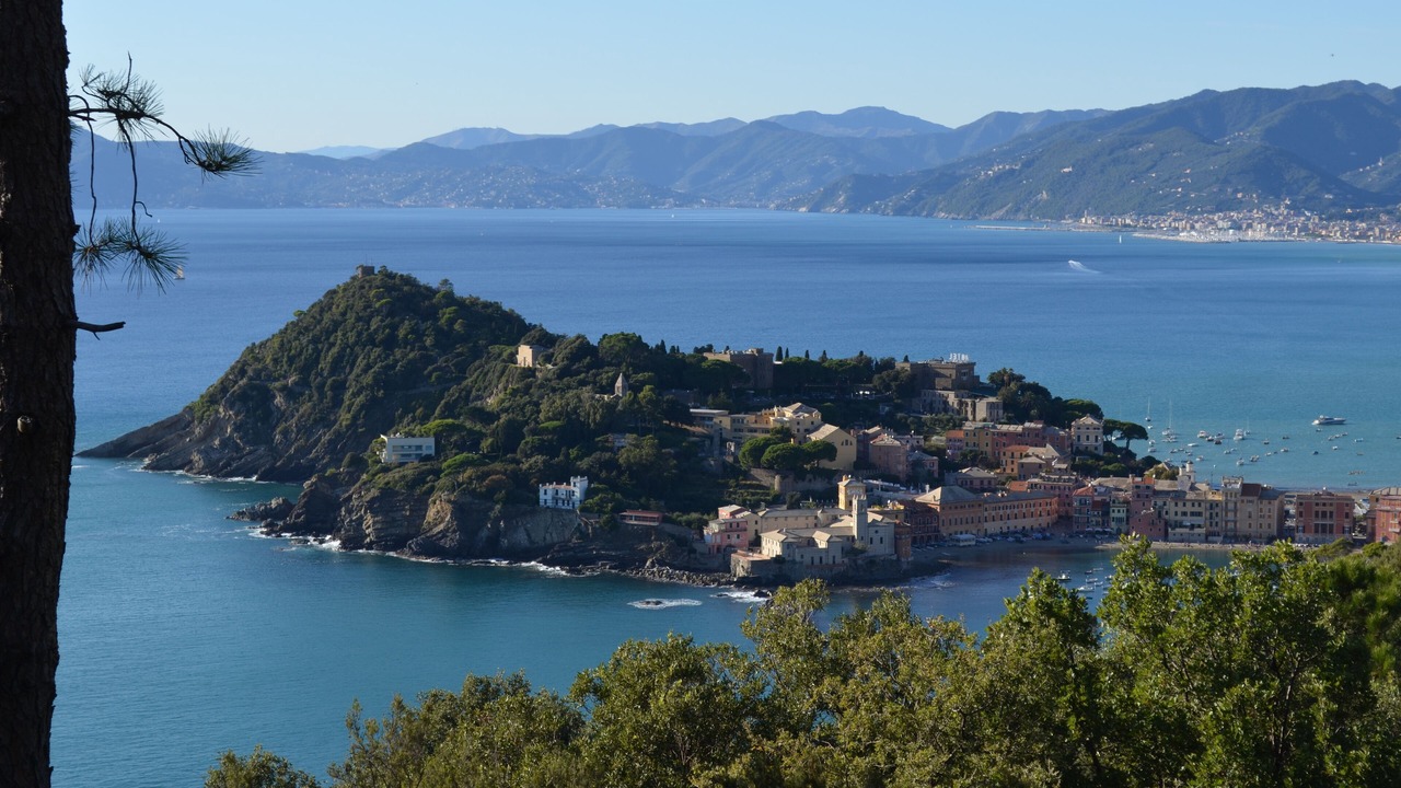 Photo of Others in Sestri Levante