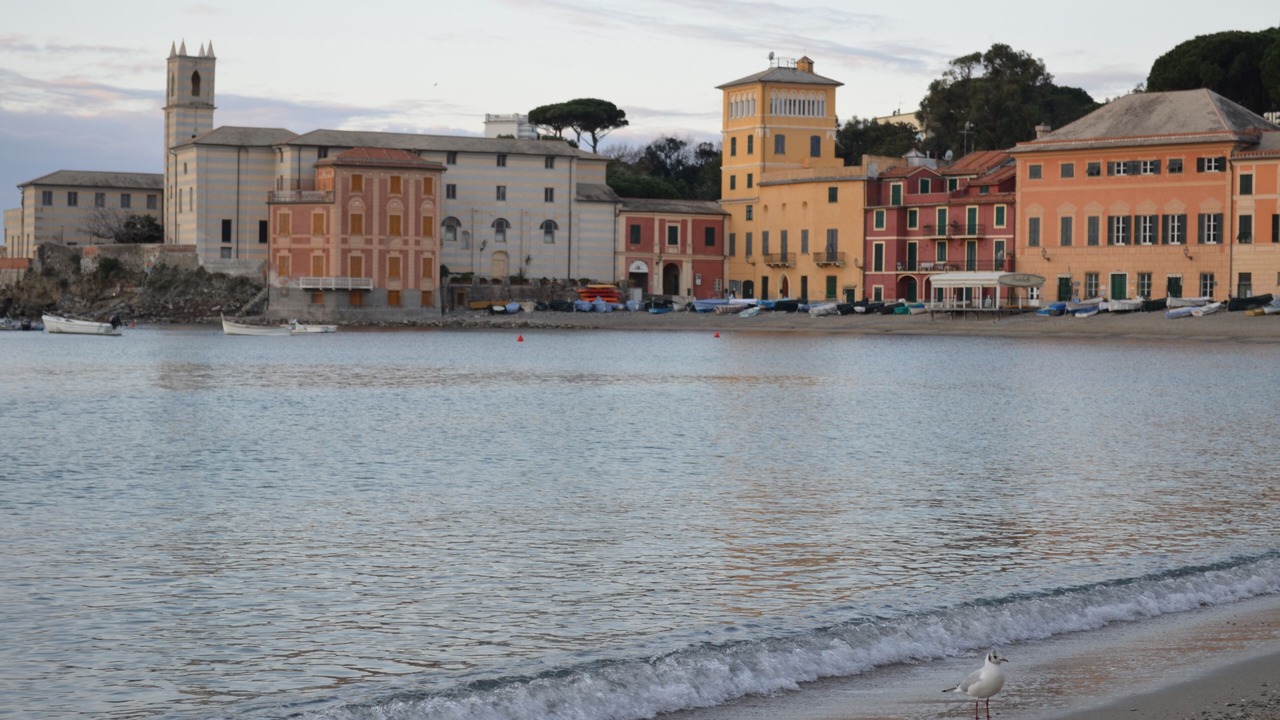 Photo of Others in Sestri Levante