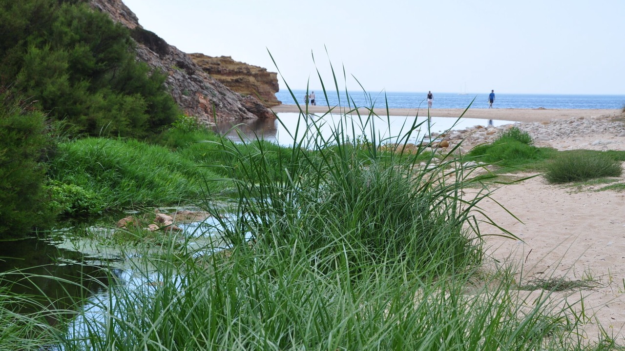 Photo of Others in Burgau