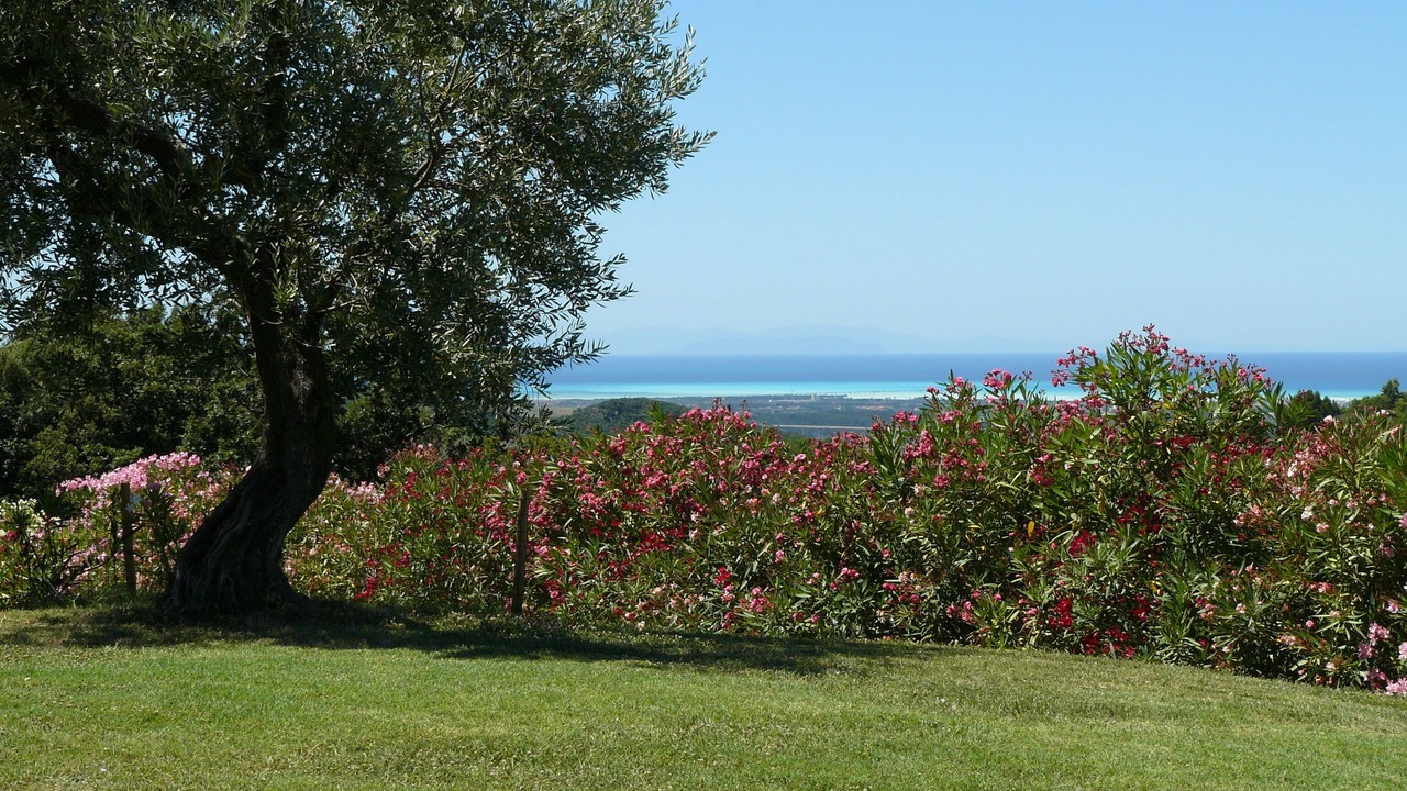 Photo of Outdoor in Castellina Marittima