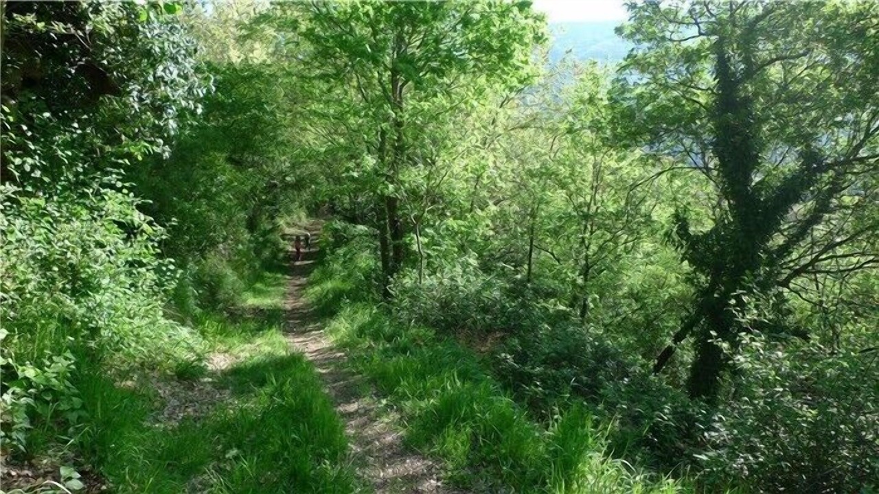 Photo of Others in Vallo di Nera