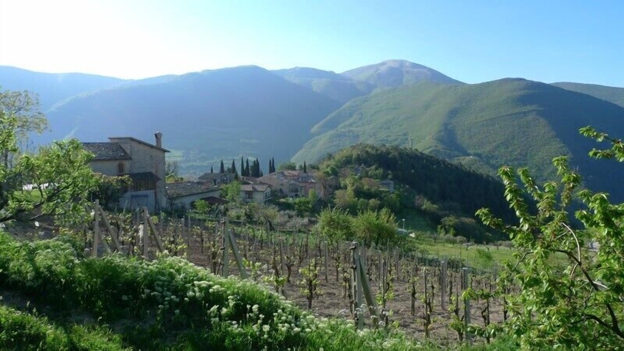 Photo of Others in Vallo di Nera