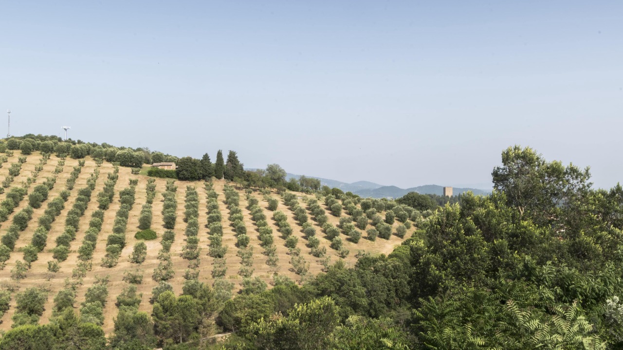 Photo of Outdoor in Montecolognola