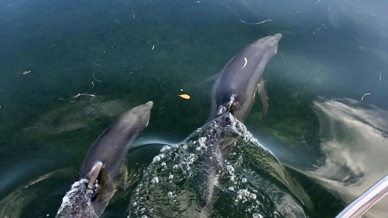Photo of Others in Tavernier