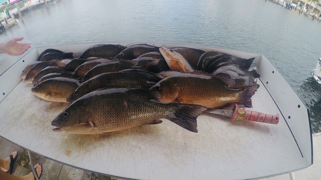 Photo of Others in Tavernier