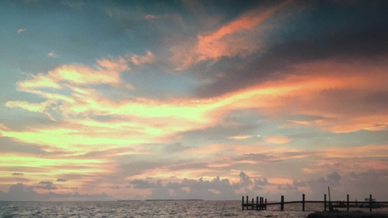 Photo of Others in Tavernier