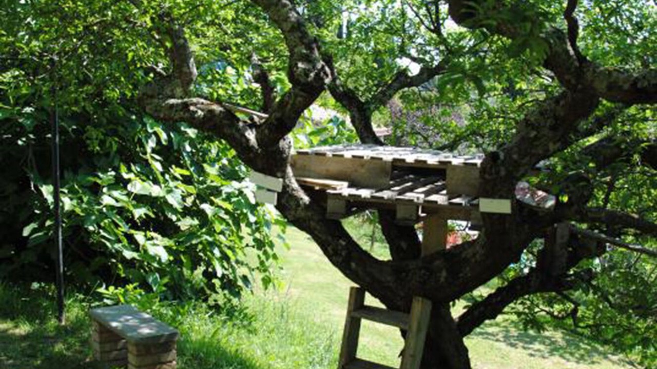 Photo of Outdoor in Giomici